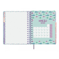 AGENDA ESCOLAR FINOCAM24 16M VITAE 4º SVH 24-25 VERDE+ 626501025