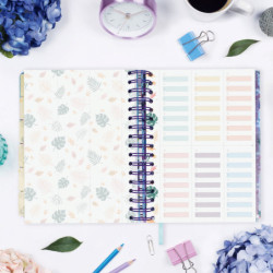 AGENDA ESCOLAR FINOCAM23  16 MESES VITAE SVH 23-24 AZUL+ 4º - 155*217 626501124