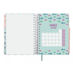 AGENDA ESCOLAR FINOCAM24 16M VITAE 4º SVH 24-25 ROSA CAT+ 626510925