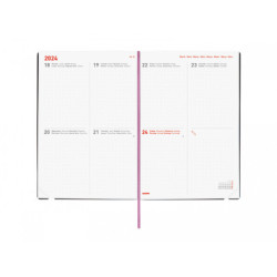 AGENDA ESCOLAR FINOCAM23  16 MESES DOTTED SVH 23-24 BLOOM INTL+ Y10 - 140*204 626900324