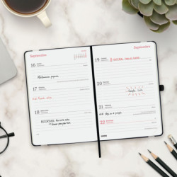 AGENDA ESCOLAR FINOCAM24 16M.CAPRI F4 11,8*16,8 SVH 24-25 NEGRO+ 627300425