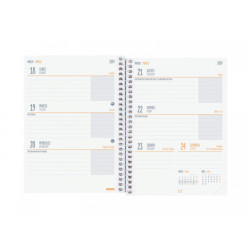 AGENDA ESCOLAR FINOCAM23  SECUNDARIA SVH 23-24 TIGER+ 8º - 120*164 634223624