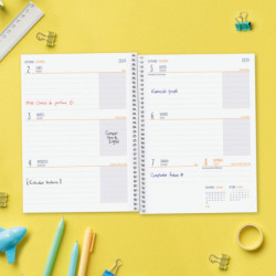 AGENDA ESCOLAR FINOCAM24 COOL 4º SVH 24-25 NEGRO+ 645040325