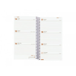 AGENDA ESPIRAL ANUAL YEAR E9 SV 2022 AZUL+ FINOCAM22 741431022