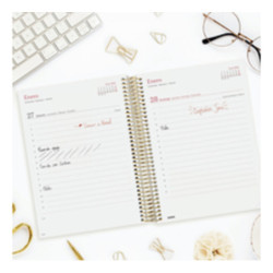 AGENDA ANUAL FINOCAM24 DESIGN COL.E10 1DP 2024 GOLDY+ E10 155*212 742312624