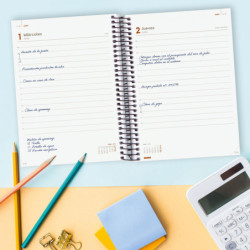 AGENDA ESPIRAL ANUAL OPAQUE E10 1DP 2022 ROSA+ FINOCAM22 742914522