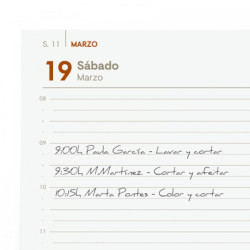 AGENDA ANUAL OPAQUE E40 1DP 2023 NEGRO+ E40 - 210*297 742926023 FINOCAM23