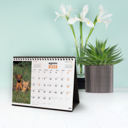 CALENDARIO SOBREMESA 2023 PERROS Y GATOS+ S - 210*150 780323923 FINOCAM23