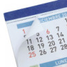 CALENDARIO ANUAL FINOCAM24 FALDILLA MIX F94 43X31(SIN DEV)2024+ F94 430*310 781100024