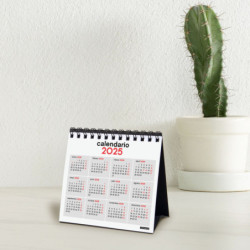 AGENDA ANUAL FINOCAM25 CAL.SOBREMESA N.GRANDES (210*150) XXS (210*150) (140*150) (110*100) 2025+ 781