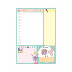 PLANIFICADOR ESCOLAR FINOCAM22 PLANIFICADOR TALKUAL DIA.NO-FECH A5 PRO+ A5 - 148X210 7863300