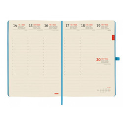 AGENDA ESPIRAL ANUAL LISA FA5 SVV 2022 NEGRO+ FINOCAM22 883366022