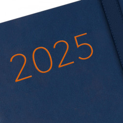 AGENDA ANUAL FINOCAM25 LISA F4 (118*168) 1DP 2025 AZUL+ 883381025