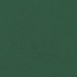 CARTULINA CANSON GUARRO IRIS 30KG 50*65 VERDE AMAZONAS 31 PTE/25U