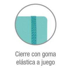 CARPEBLOC RINGBOOK A4 4A ENRI OXFORD SCHOOL EUROPEAN C/RECAMBIO 100H 5COL 400118811 POLYFOAM