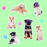 PEGATINAS ANIMALES REALISTAS PERROS 1 HOJA 18563 APLI (5U)