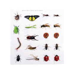 BOLSA GOMETS TEMATICOS REALISTAS INSECTOS 2 HOJAS 18731 APLI (5U)