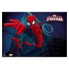 VADE ERIK DECORADO SPIDERMAN 35*50 TSEH214 ^
