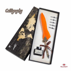 PLUMA CALIGRAFICA C/6 PUNTAS ESTUCHE ALEX BOG AB-0250