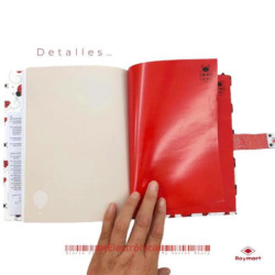 DIARIO CON CLAVE MARIQUITAS ALEX BOG JC-1008