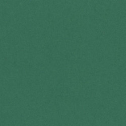 CARTULINA CANSON GUARRO IRIS 30KG 50*65 VERDE ABETO 30 PTE/25U