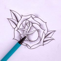 EXPOSITOR PORTAMINAS 0,7MM COL. SURTIDO 24U APLI20 (24 UN) 17878