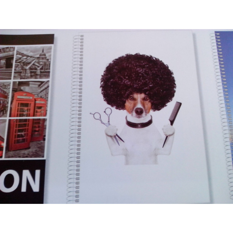 CUADERNO DEC TD FOLIO 80H PACSA INSTITUT EXTRA 90G 4*4 PELUQUERO 16287 ^