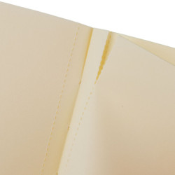 CUADERNO FINOCAM A4 TAPA FLEXIBLE A-5 DESIGN LISO LION 8053101