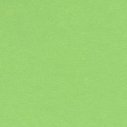 CARTULINA CANSON GUARRO IRIS A-4 VERDE MANZANA 27 PTE 50U 200040171