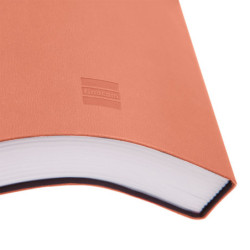 AGENDA MARA Y4 1DP 2026 CORAL+ FINOCAM26 621088426 124 X 22 X 174 MM