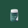 GLOSS PAINT GP-06 DARK GREEN LA PAJARITA 131116 75 ML PTE 6U