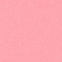 CARTULINA CANSON GUARRO IRIS A-3 ROSA 10 PTE 50U