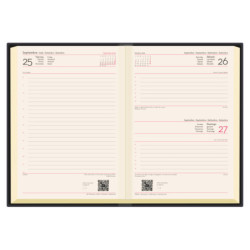 E11-AGENDA PROL ITAL26 2026 CERVINO BURDEOS D/P 17X24 CM 0E11APD82