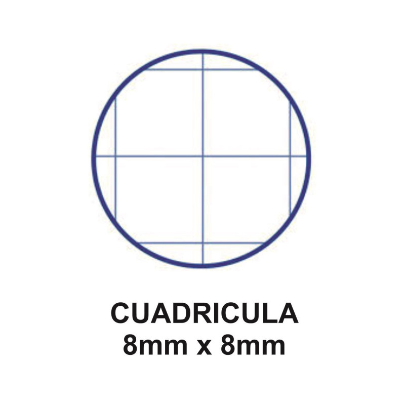 RECAMBIO  4º 100H 4T CUADROS 8*8