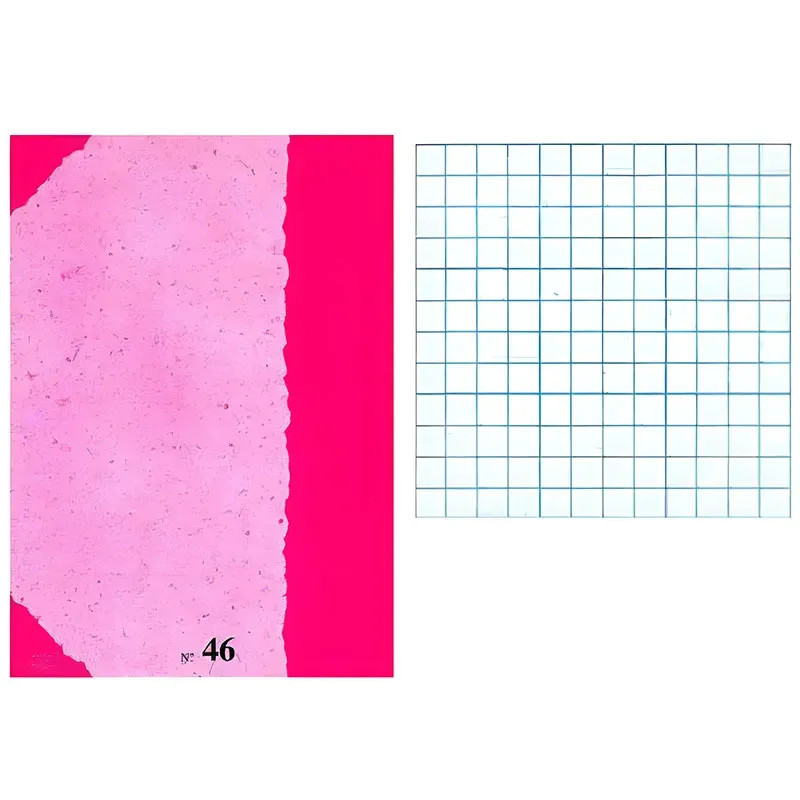 LIBRETA EDELVIVES  Nº 46 A-4  32H ^