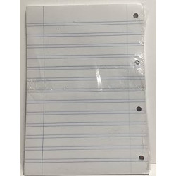 RECAMBIO FL 100H 4 TAL OFERTA PAUTA