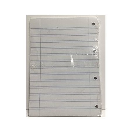 RECAMBIO FL 100H 4 TAL OFERTA PAUTA