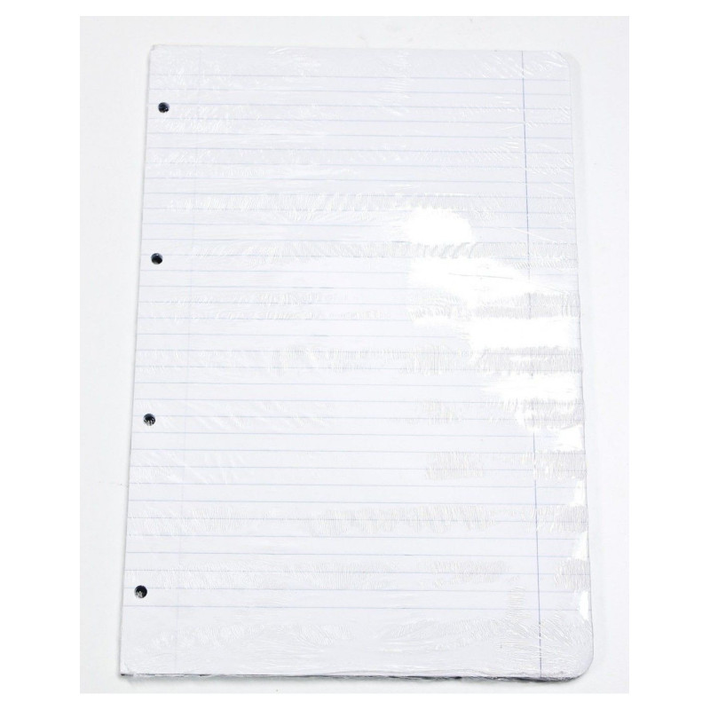 RECAMBIO FL 100H 4 TAL OFERTA HORIZONTAL