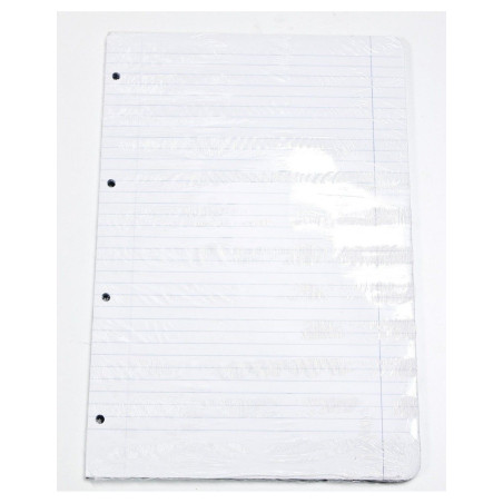 RECAMBIO FL 100H 4 TAL OFERTA HORIZONTAL