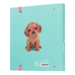 CARPEBLOC DEC RINGBOOK FL 4A TROQUELADA PET DOG LOVELY PUPPIES ERIK CBK0079