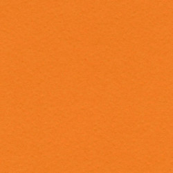 CARTULINA CANSON GUARRO IRIS A-4 MANDARINA 08 PTE 50U