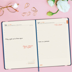 AGENDA JOY FA5 1DP 2026 FIONA+ FINOCAM26 883600426 151 X 23 X 214 MM