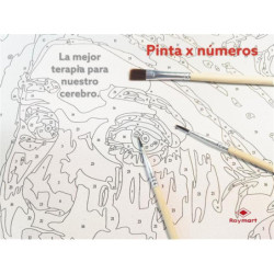 PINTAR POR NUMEROS RETRATO DE CHARLES CHAPLIN ALEX BOG SG-1945