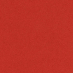 CARTULINA CANSON GUARRO IRIS A-4 TOMATE 14 PTE 50U 200040161