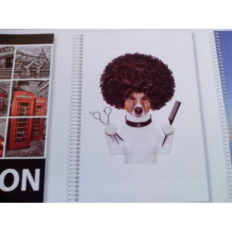 CUADERNO DEC TD FOLIO 80H PACSA INSTITUT EXTRA 90G 4*4 PELUQUERO 16287 ^